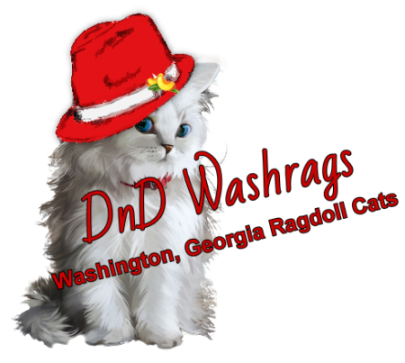 DnD Washrags - Washington Georgia Ragdoll Cats